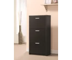 Coaster Accent Cabinets Shoe Cabinet