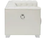 Coaster Chaviano Tufted Chair