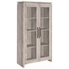 Coaster Curio Cabinets Curio Cabinet