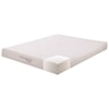 Coaster Keegan Mattress 8” Twin XL Memory Foam Mattress