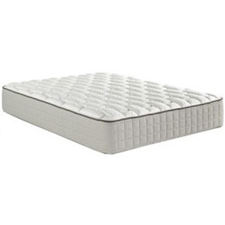 Queen 12" Plush Mattress