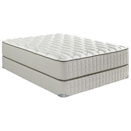 Queen 12" Plush Mattress Set