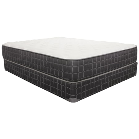 Queen 10.5" Plush Mattress Set