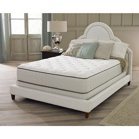 Twin 12" Plush Mattress Set