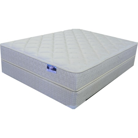Queen Plush Mattress