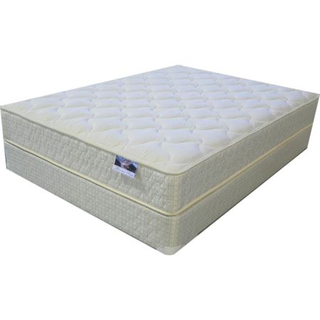Queen Plush Mattress