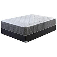 Cal King Plush Pocketed Coil Mattress and Wood Foundation