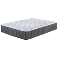 Cal King Plush Pocketed Coil Mattress