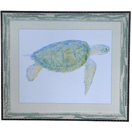 Sea Turtle 1