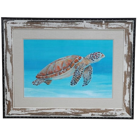 Ocean Sea Turtle 1