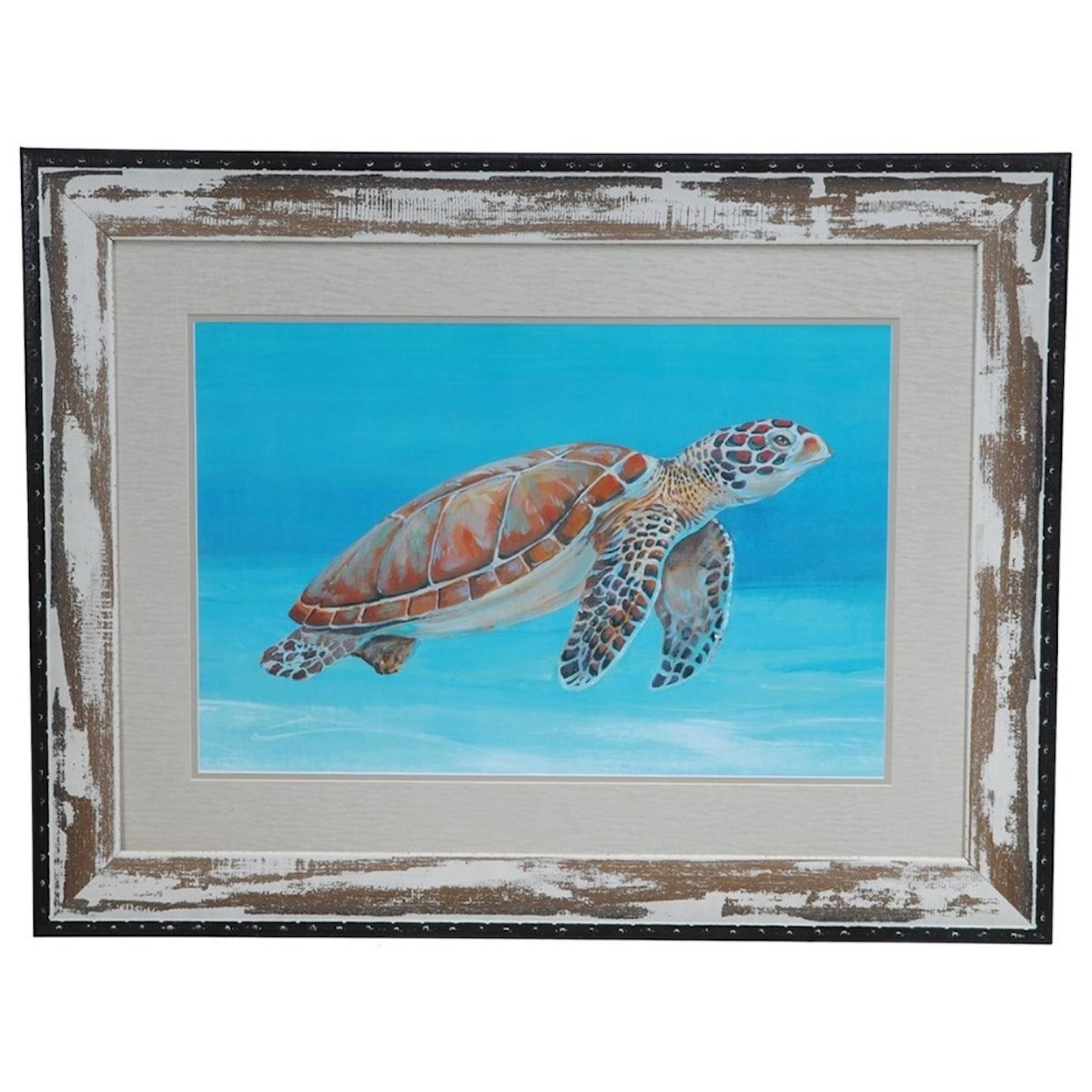 Crestview Collection Prints and Paintings Ocean Sea Turtle 1