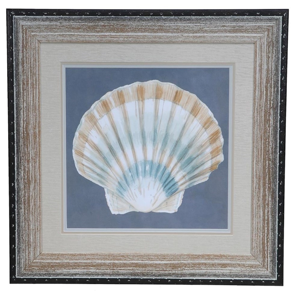 Crestview Collection Prints and Paintings Shell On Slate 3