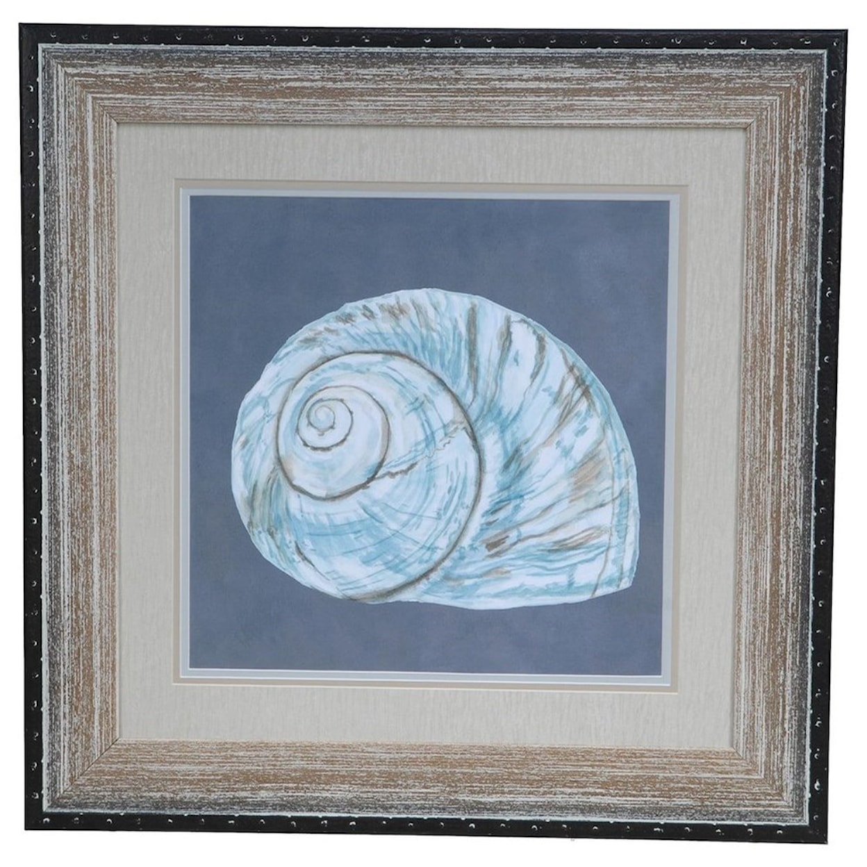 Crestview Collection Prints and Paintings Shell On Slate 8