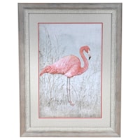 American Flamingo 1