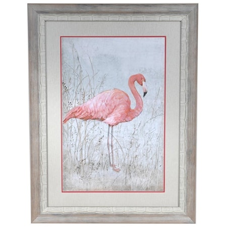 American Flamingo 1