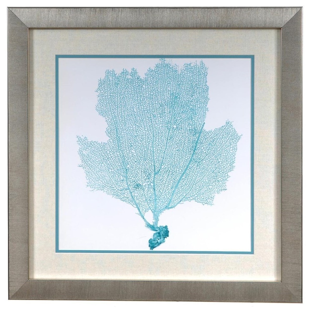 Crestview Collection Prints and Paintings Sea Fan 3