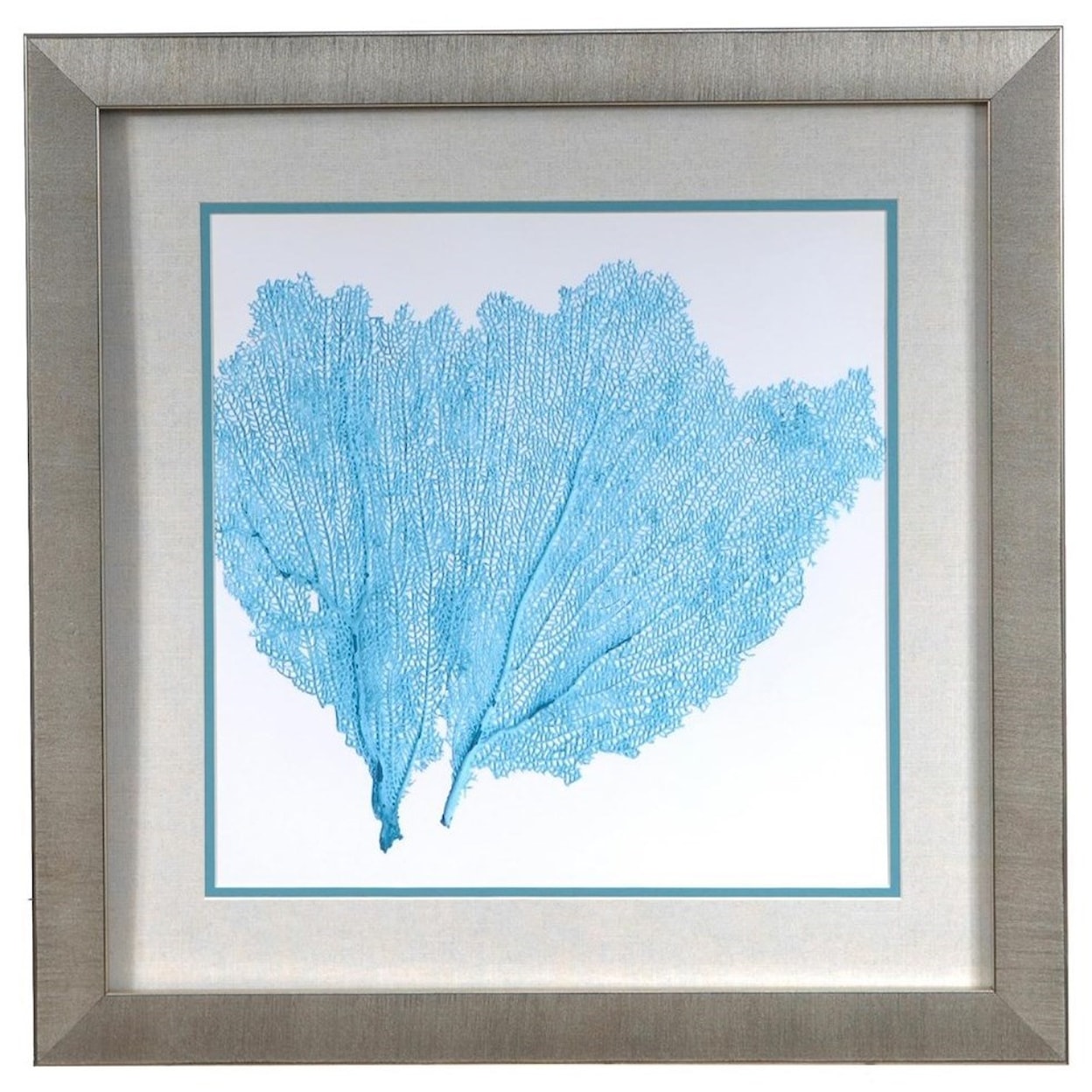 Crestview Collection Prints and Paintings Sea Fan 4