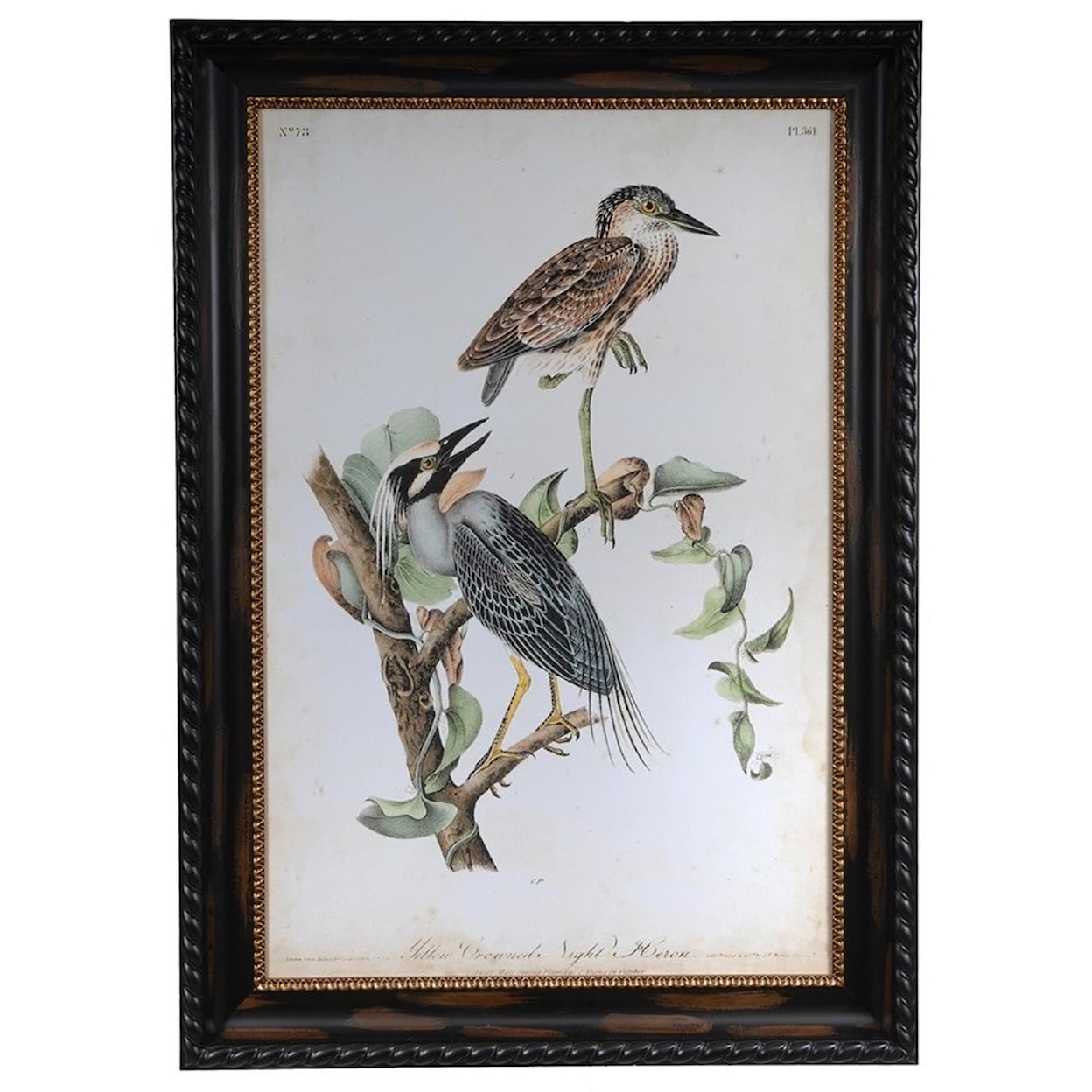 Crestview Collection Prints and Paintings Night Heron