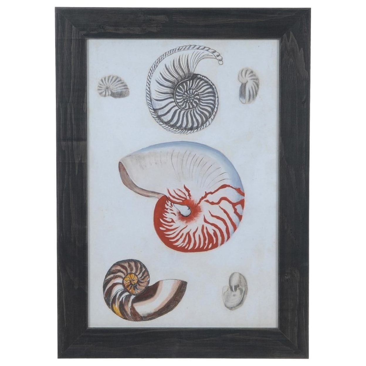 Crestview Collection Prints and Paintings Seashore Notes 1