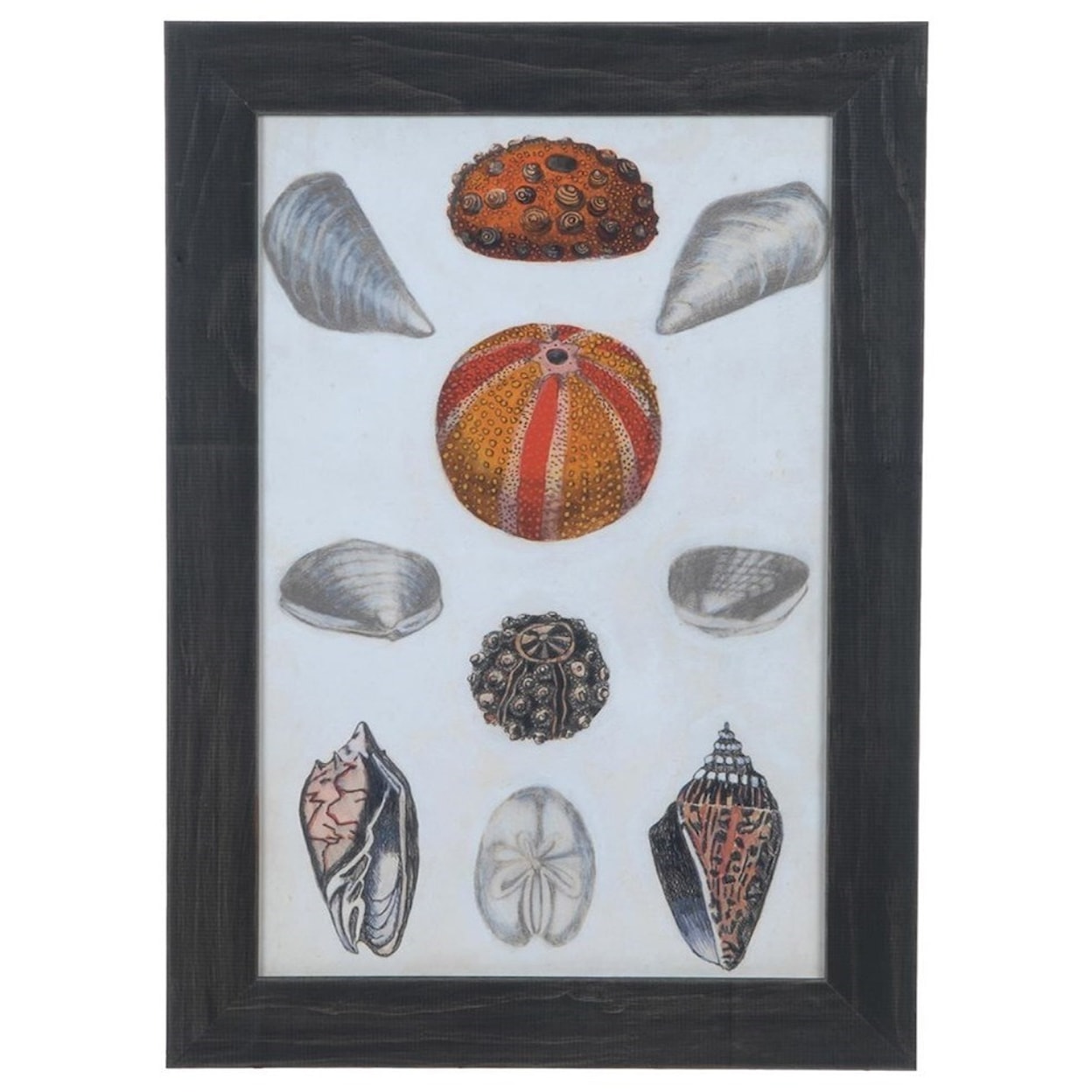 Crestview Collection Prints and Paintings Seashore Notes 2