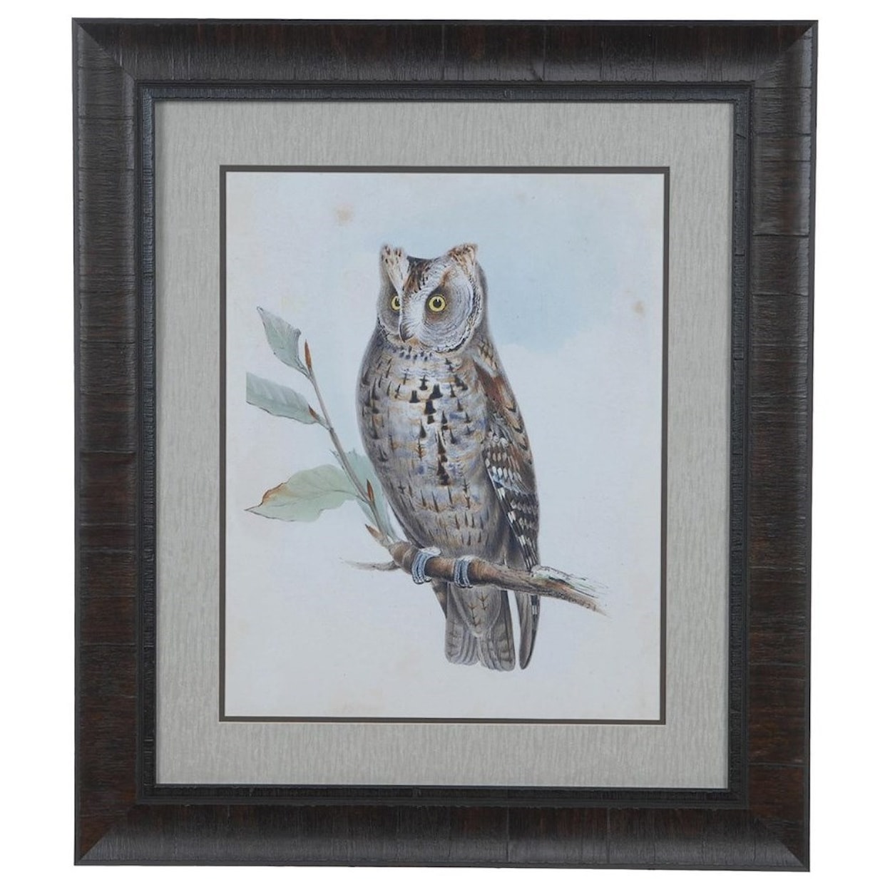 Crestview Collection Prints and Paintings Scops Owl