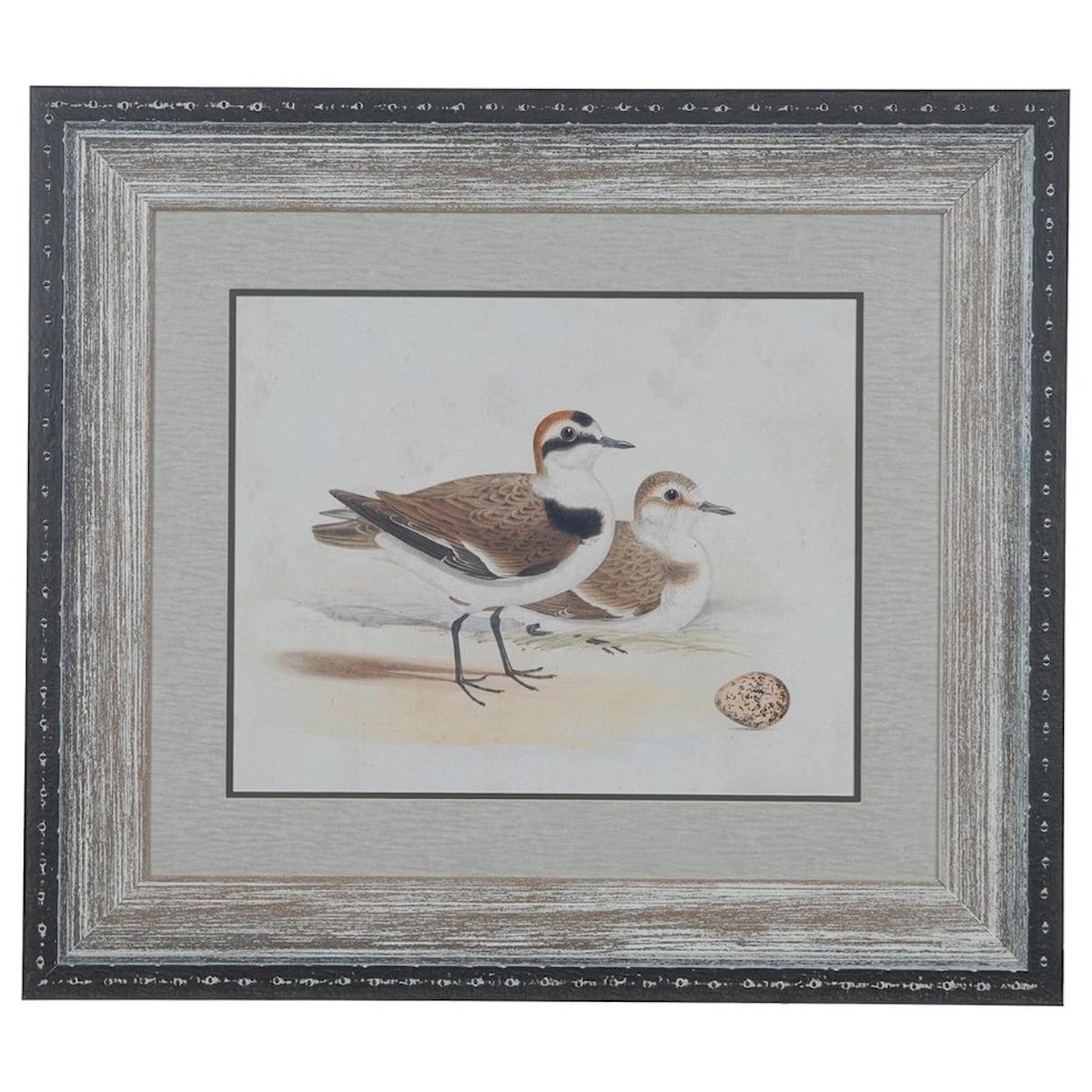 Crestview Collection Prints and Paintings Shorebirds 5