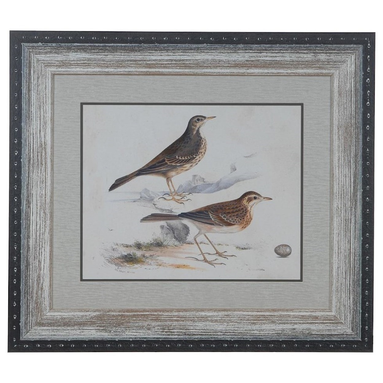 Crestview Collection Prints and Paintings Shorebirds 6