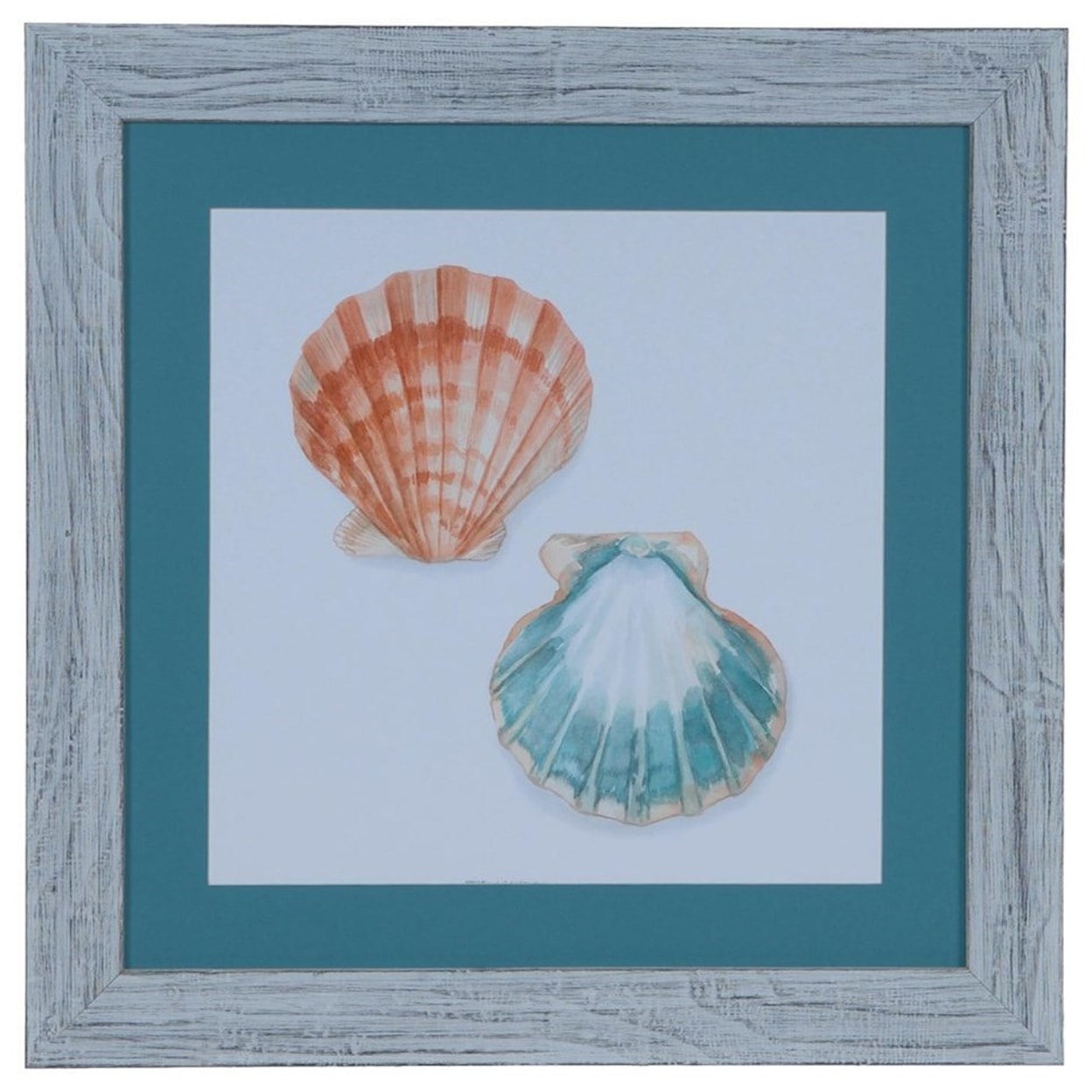 Crestview Collection Prints and Paintings Watercolor Shells 1