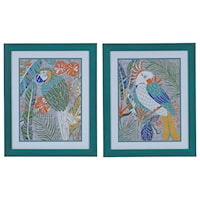 Tropical Macaw & Cockatoo (Set)