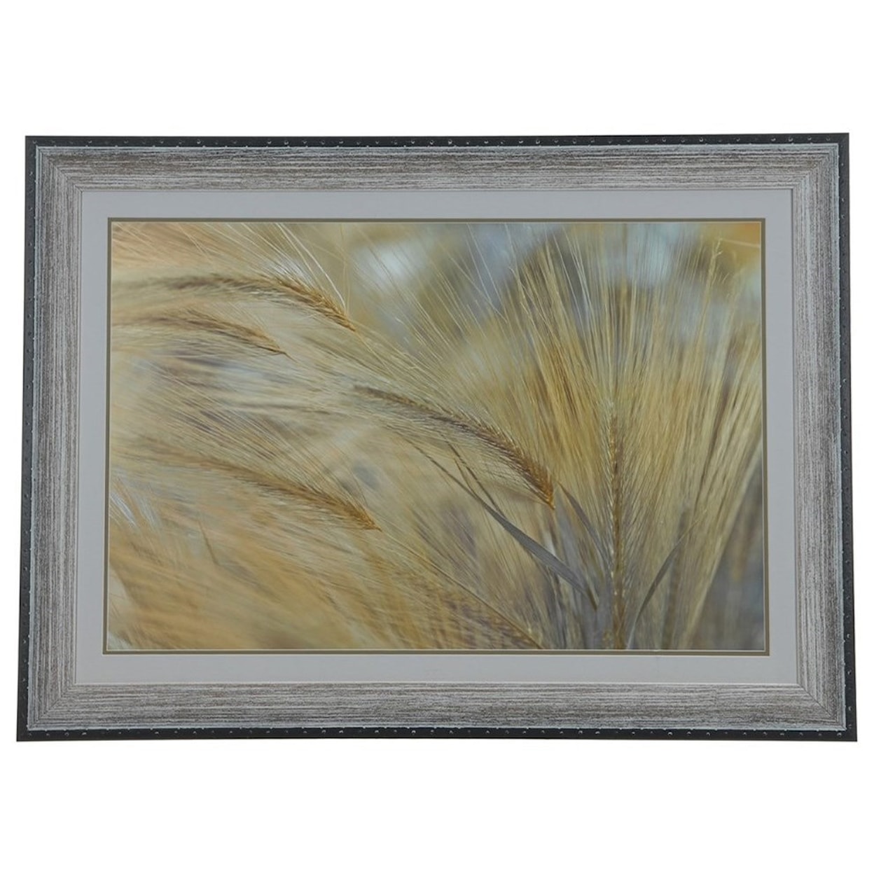 Crestview Collection Prints and Paintings Foxtail