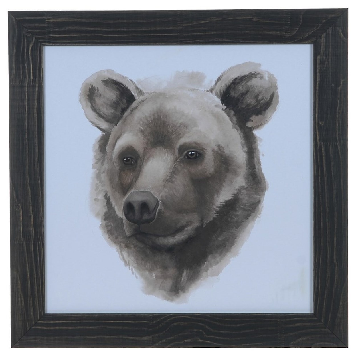 Crestview Collection Prints and Paintings Animal Study (Bear)
