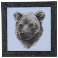 Animal Study (Bear)