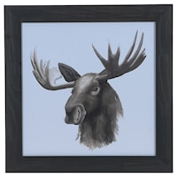 Animal Study (Moose)