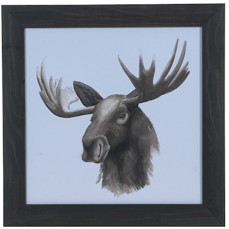 Animal Study (Moose)