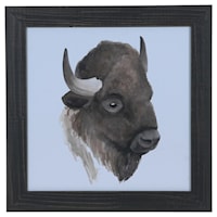 Animal Study (Buffalo)