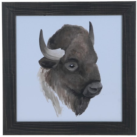 Animal Study (Buffalo)