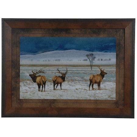 Refuge Elk