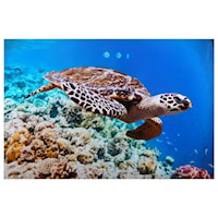 Sea Turtle Hand Foiled Tempered Glass Wall Decor