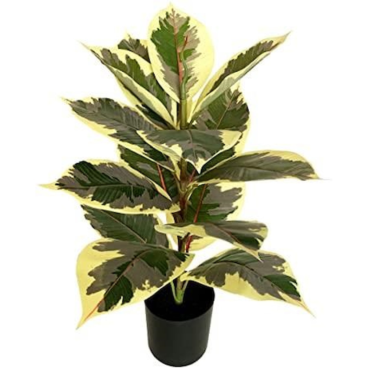 Exclusive BESAMENATURE 22 Inch Artificial Mini Rubber Tree