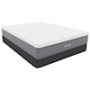 Sleep Shop Mattress Arizona Firm Twin 11" Firm Bed-in-a-Box Mattress Set