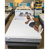 Sleep Shop Mattress Arizona Firm Cal King 11" Firm Bed-in-a-Box Mattress