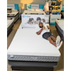 Sleep Shop Mattress Arizona Medium Cal King 11" Medium Bed-in-a-Box Mattress