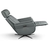 Donald Choi Canada Recliner  Argo Power Recliner