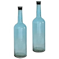 Glass Bottle/Vase (Set of 2)