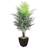 7' Areca Palm