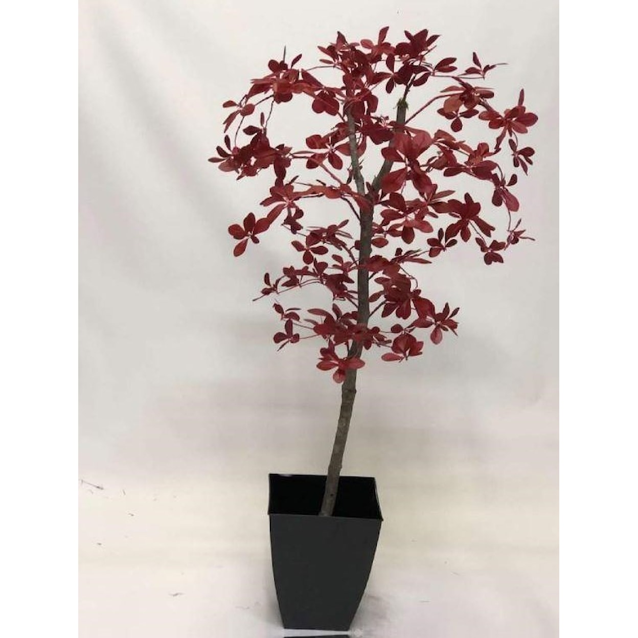 D&W Silks Floral100120 6' Red Black Olive Tree In Metal Planter