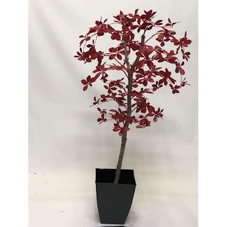 6' Red Black Olive Tree In Metal Planter