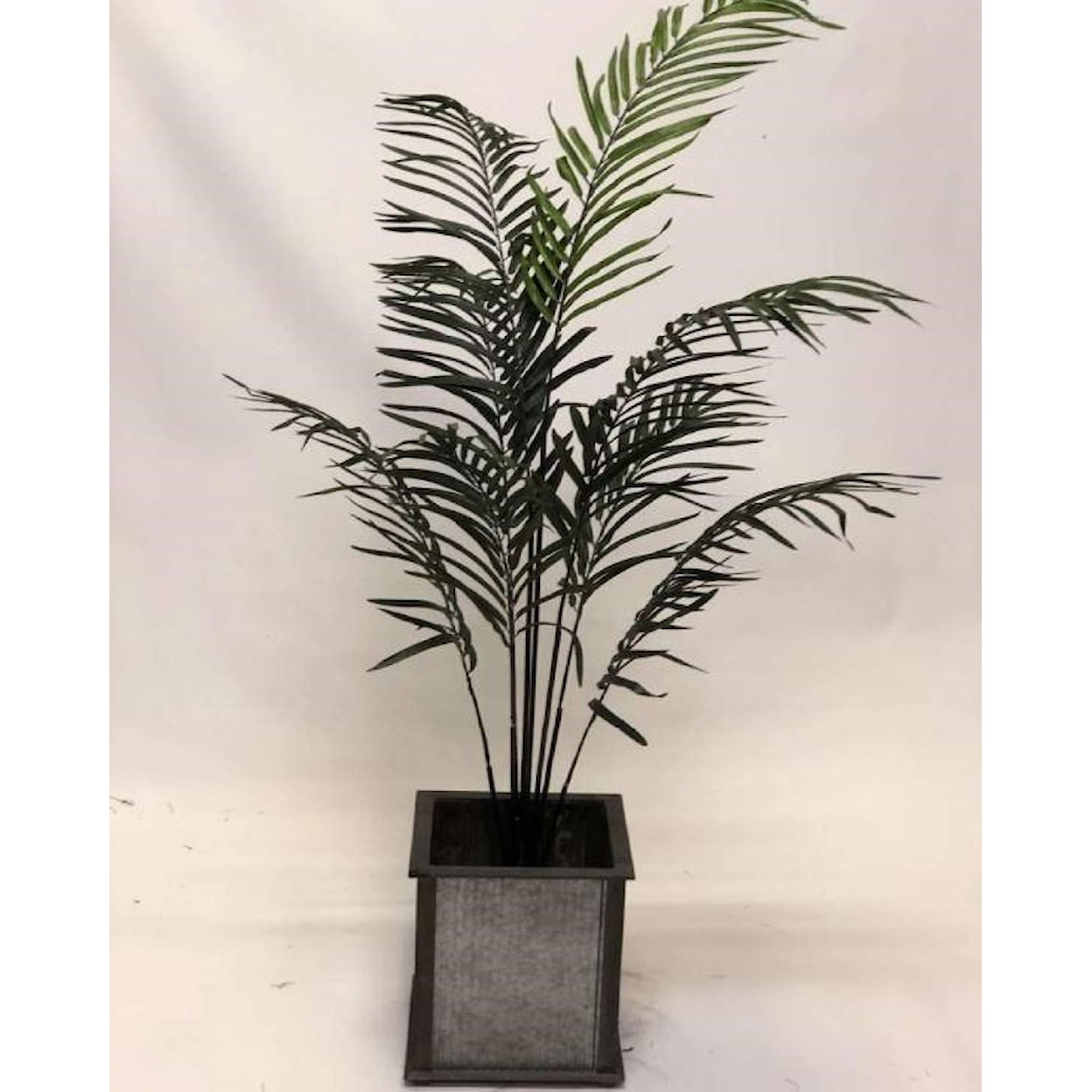 D&W Silks Floral100120 6' Areca Palm In Metal/Wood Planter