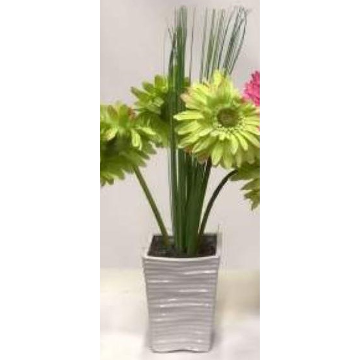 D&W Silks Floral100120 Green Gerber Dasies In White Planter