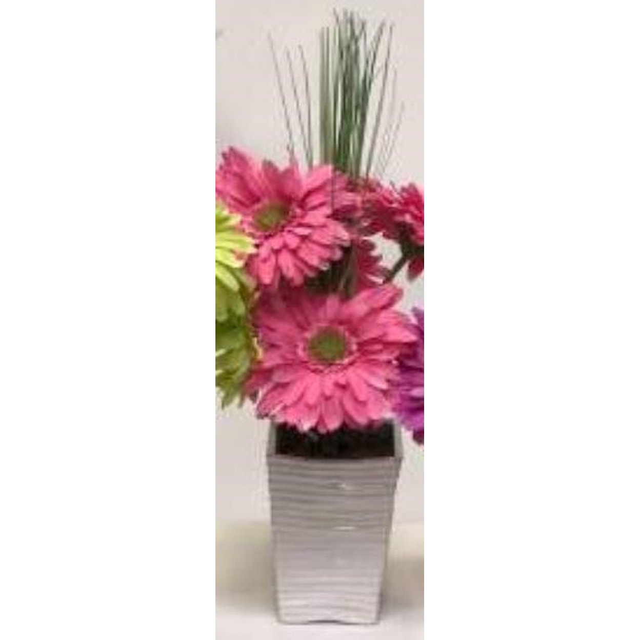 D&W Silks Floral100120 Pink Gerber Dasies In White Planter
